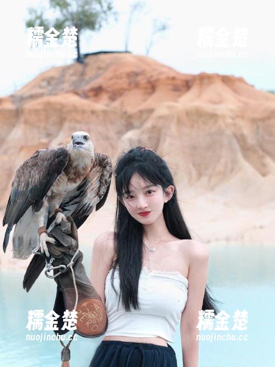 51吃瓜 可爱少女激推51吃瓜app下载广告,网页吃瓜内容丰富又新鲜