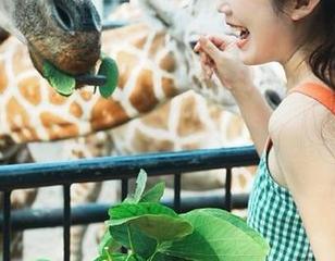 91黑料网导航平台吃瓜资讯全网最全