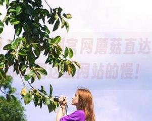 17吃瓜网官网蘑菇直达教程，教你吐槽这破网站的慢！