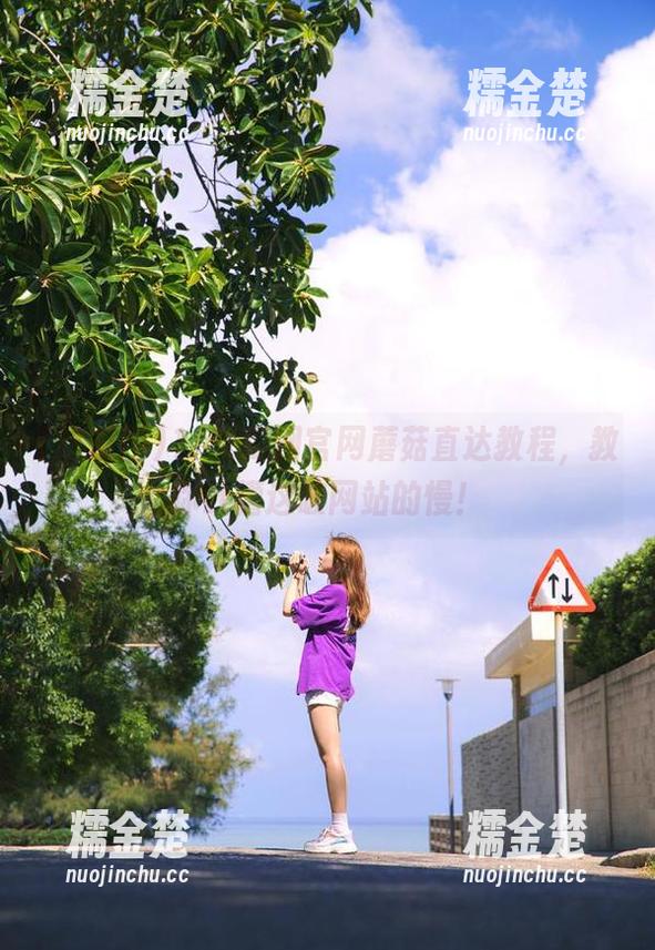 吃瓜网 17吃瓜网官网蘑菇直达教程,教你吐槽这破网站的慢!
