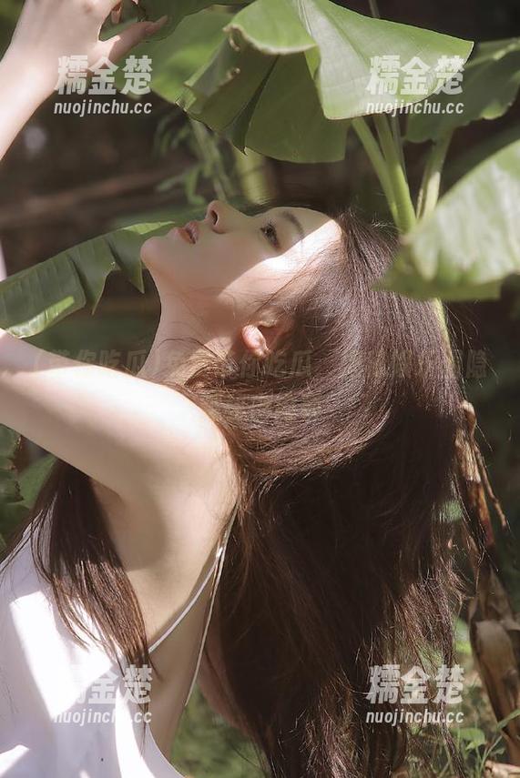 带你吃瓜 免费带你吃瓜,揭秘娱乐圈隐藏秘密内幕