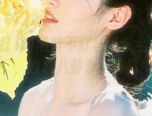 黑料不打样导航全方位覆盖，娱乐八卦永不迷路