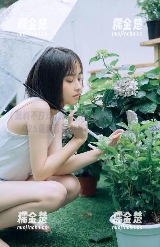 黑料不打烊 黑料不打烊,万里长征官网2025最新首页免费下载及功能解析
