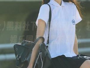 黑料社下载直达通关，轻松掌握娱乐圈最新黑料揭秘