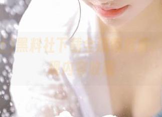 黑料社下载全流程解析，轻松实现内容收藏