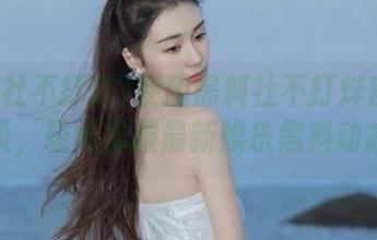 使用黑料社不打烊官网网页，轻松掌握最新娱乐黑料动态